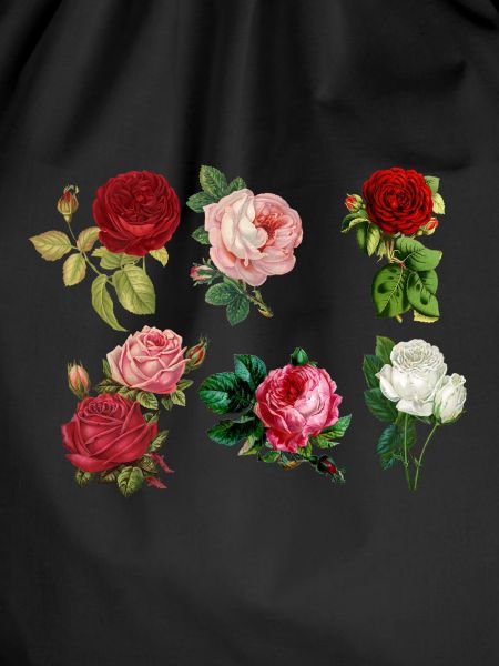 Painted roses