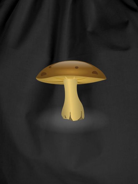 mushroom