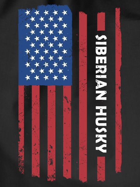 Siberian Husky Us Flag