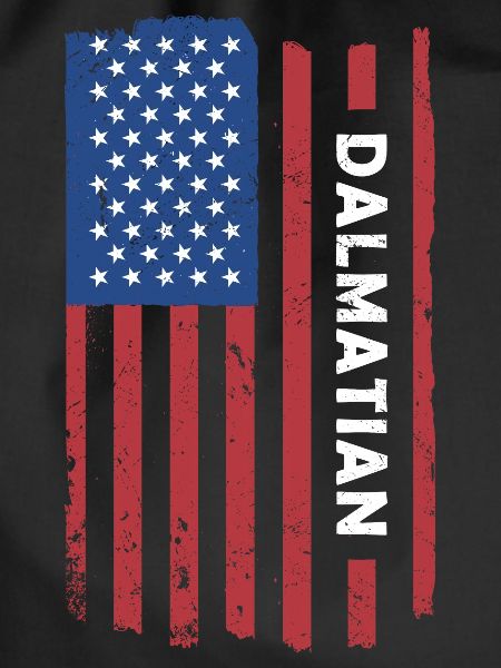 Dalmatian Us Flag