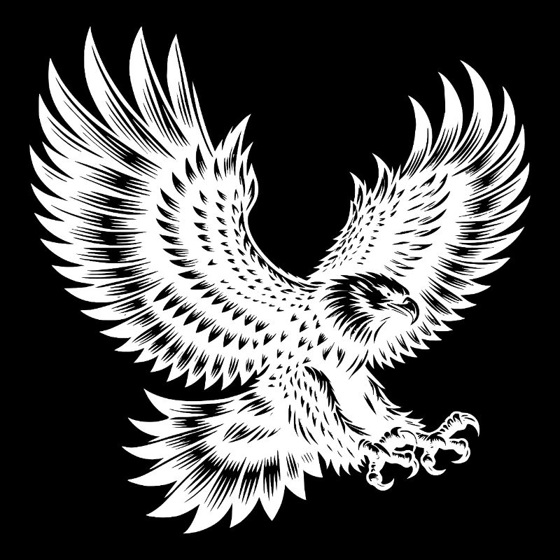 Aigle aux ailes déployées en mouvement