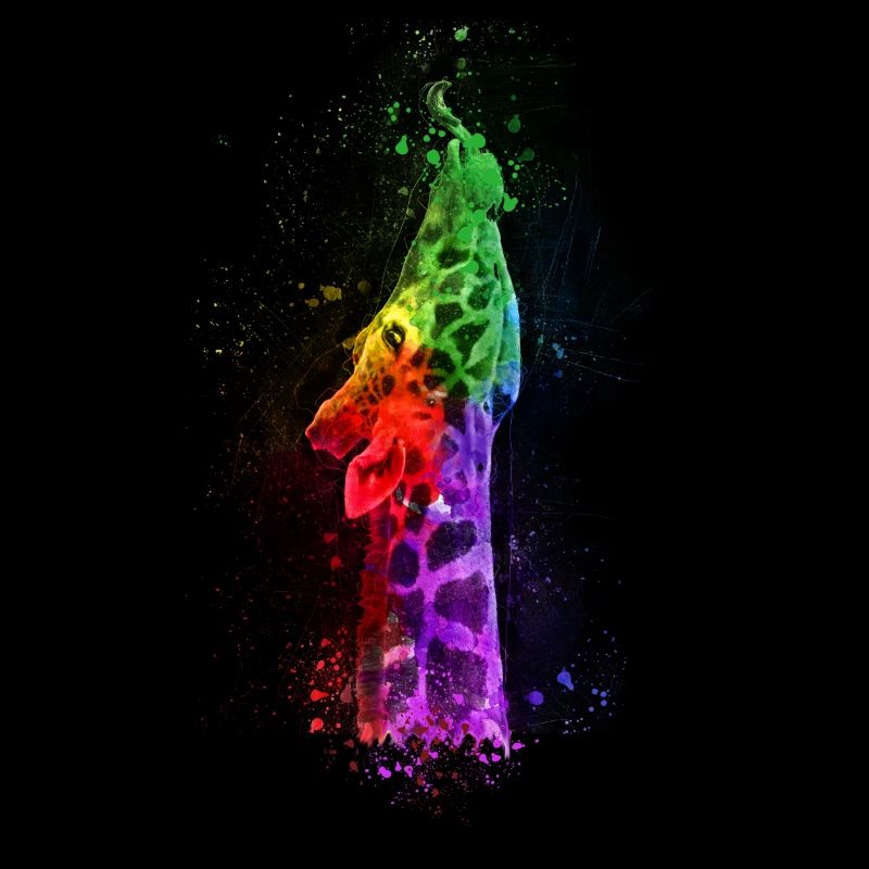 Multicolour Giraffe