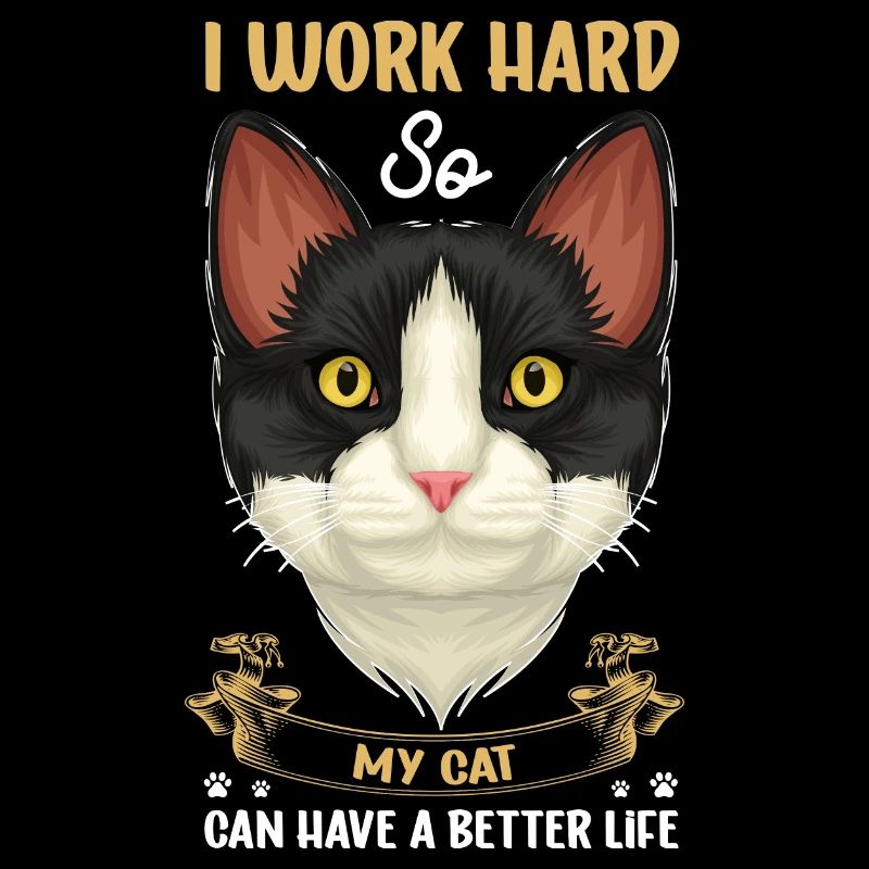 Drôle de propriétaire je travaille dur, mon chat h