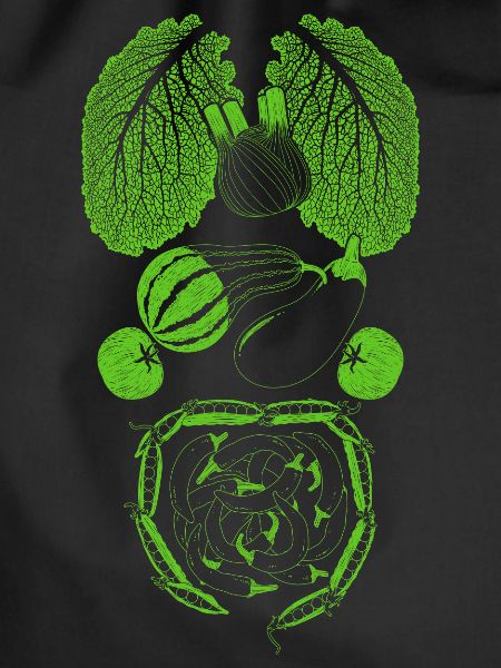 Vegetable organs anatomy