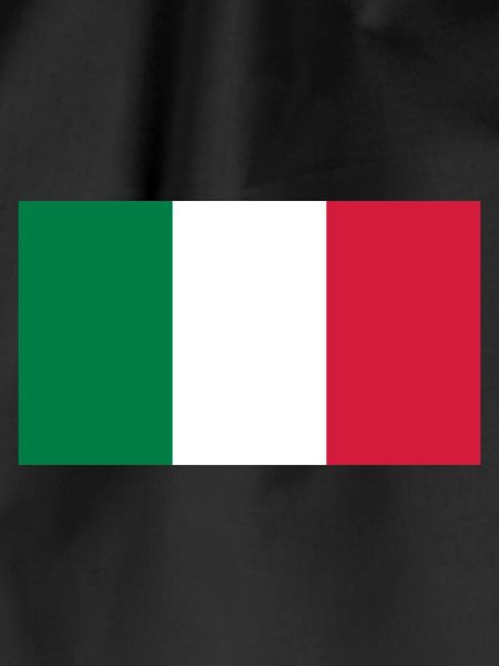 National Flag Of Mexico