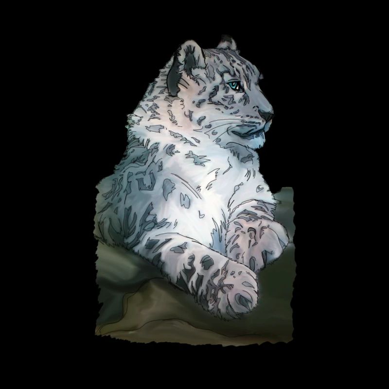 Snow leopard lying