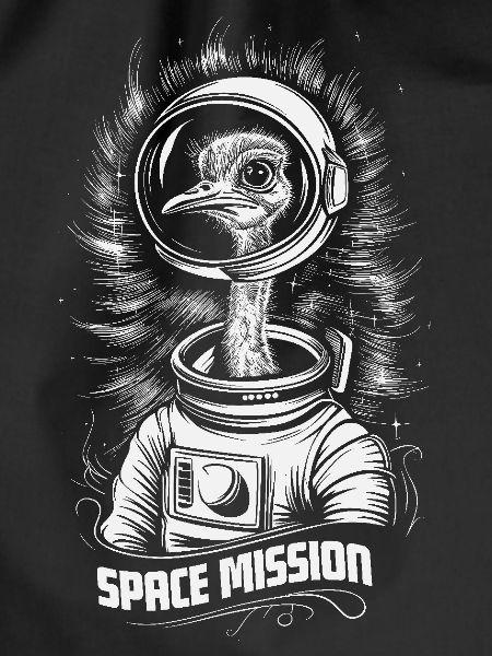 Space mission