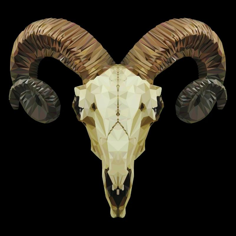 Ram's skull