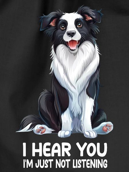 Border Collie
