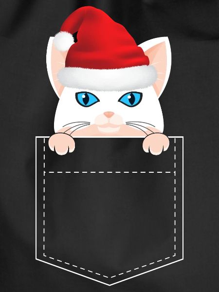 Christmas Cat