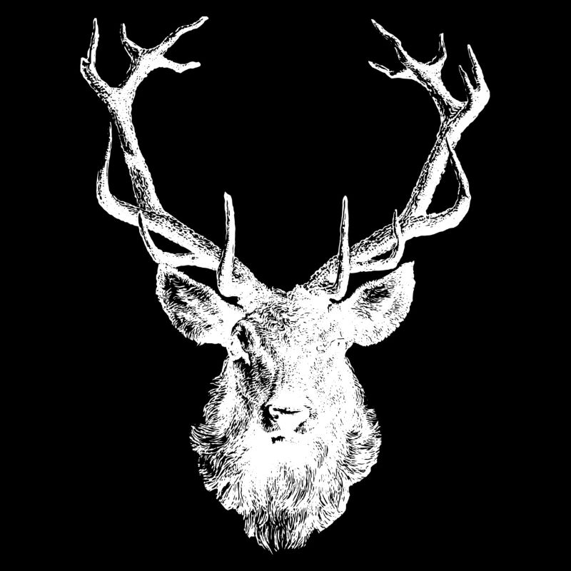 Deer Moose Antler Deer Head Hunter