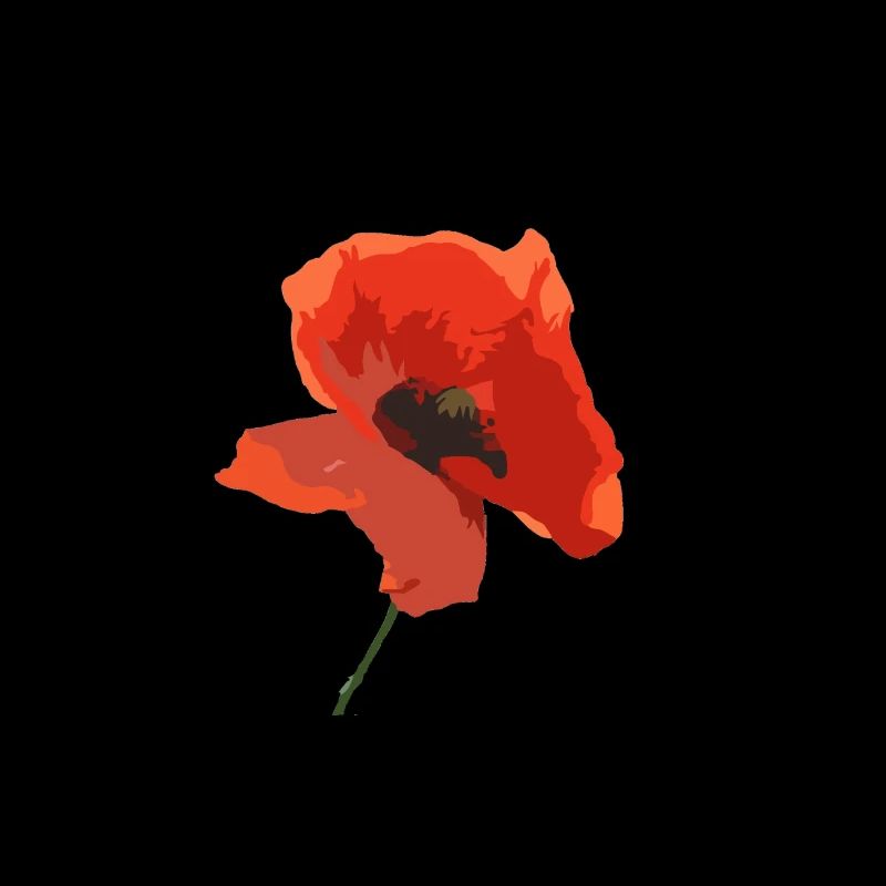 Poppy