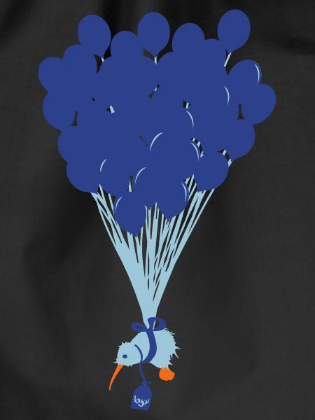 flying kiwi