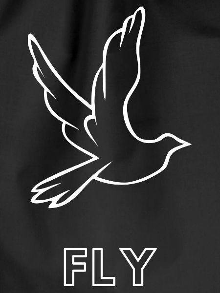 Fly