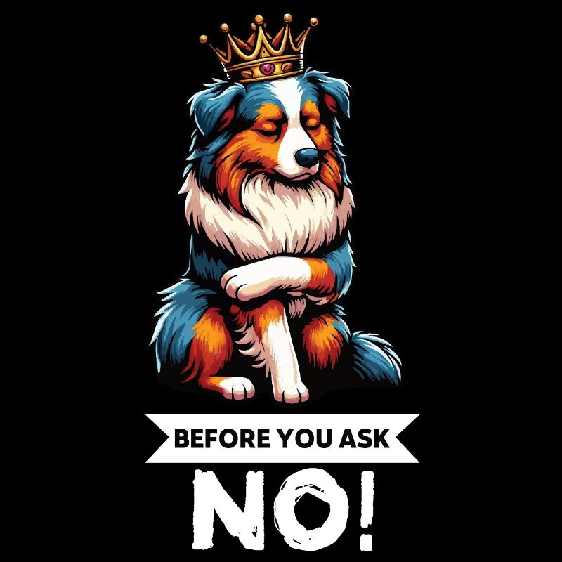 Before You Ask Australian Shepherd Aussie Aussies