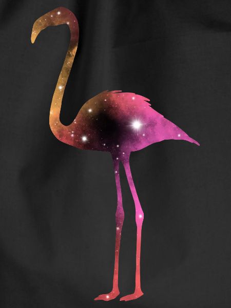 Galaxy Flamingo