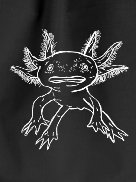 Axolotl