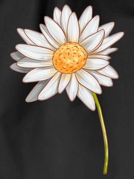 Daisy