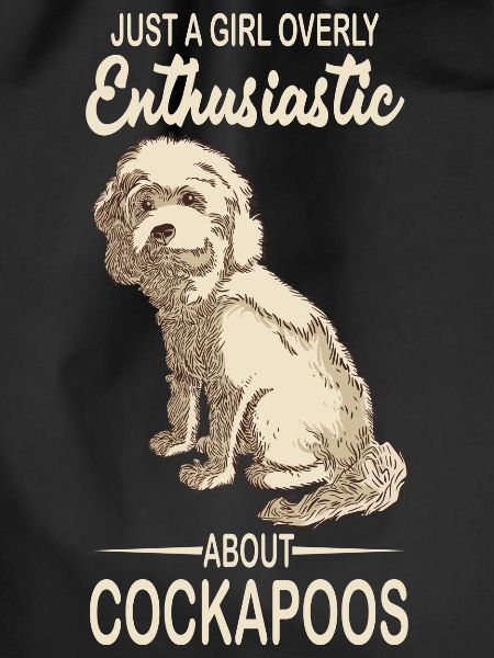 Cockapoo
