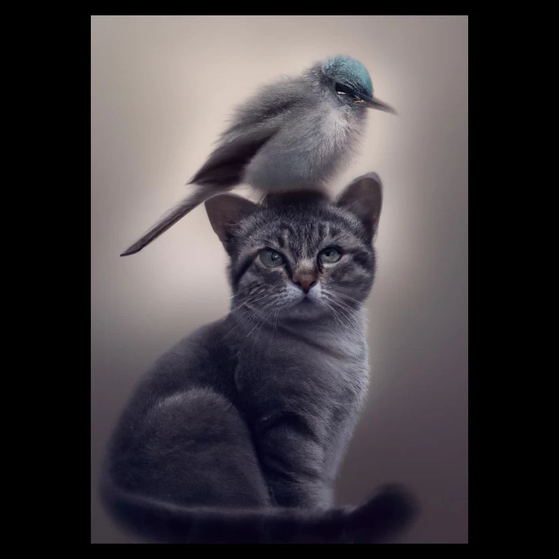 Vogel sitzt auf Katze