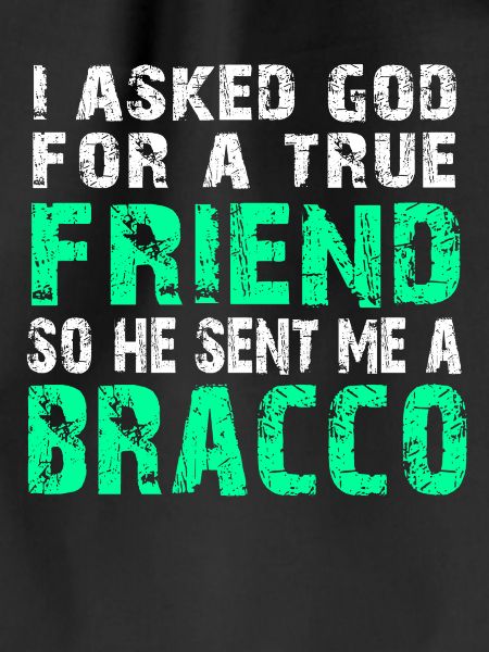 Bracco Italiano - True Friend