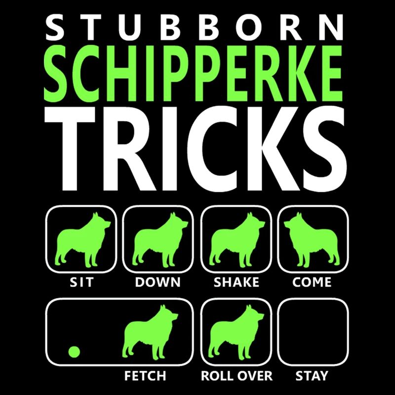 Hartnäckige Schipperke-Tricks