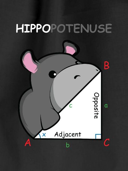 Hippopotenuse Math Genius Gift