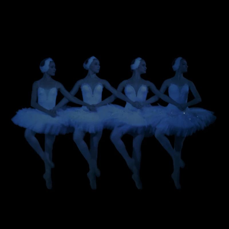 Лебединое озеро