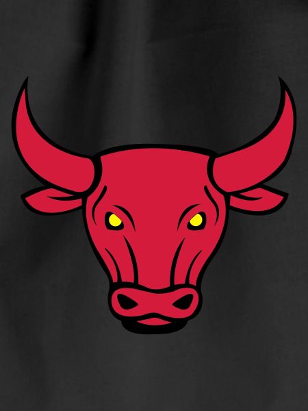bull 02