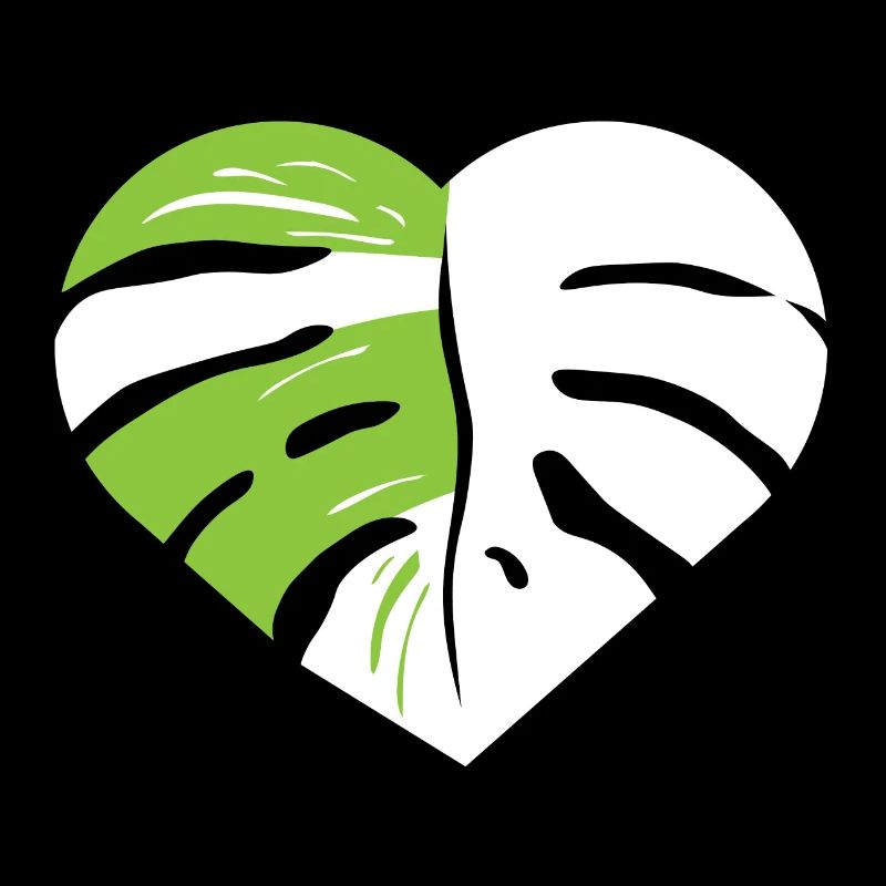 Monstera heart leaf