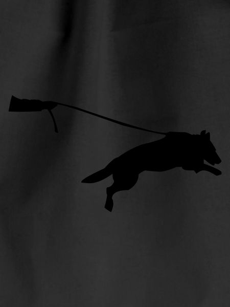 dog on a leash