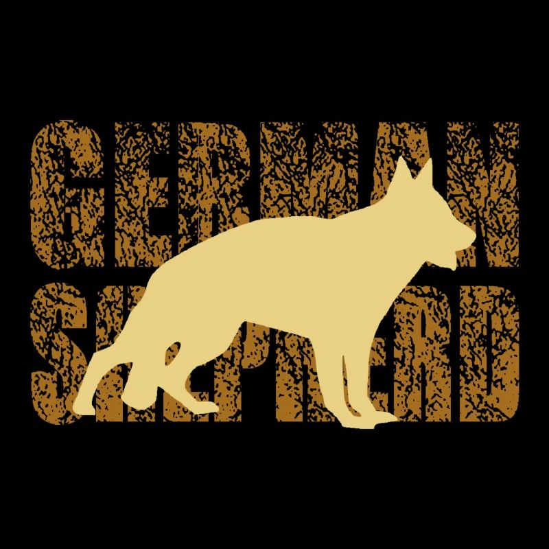 german shepherd