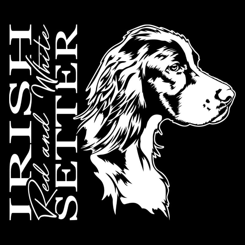 Irish Red and White Setter Jagdhund Hunde Wilsigns