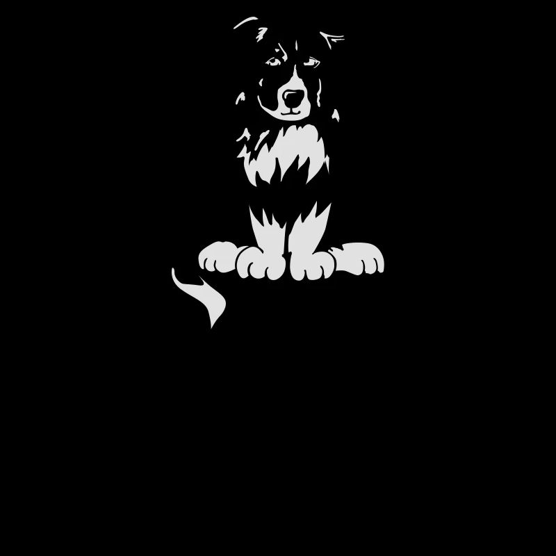 Bordercollie b/w