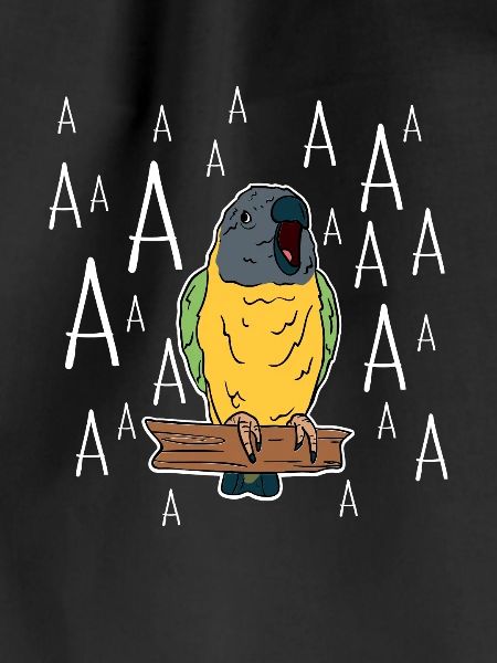 Screaming Senegal Parrot