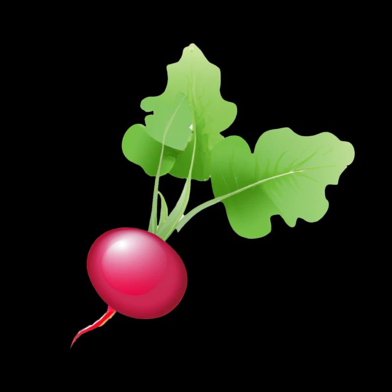 Radischen