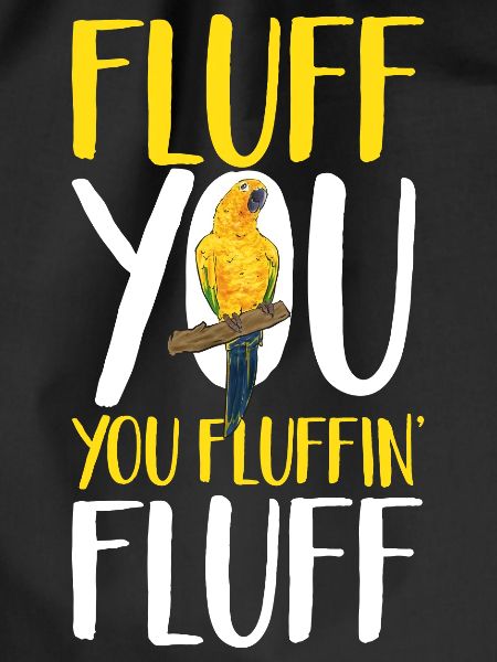 Parakeet, Parrot, Parakeet, Bird