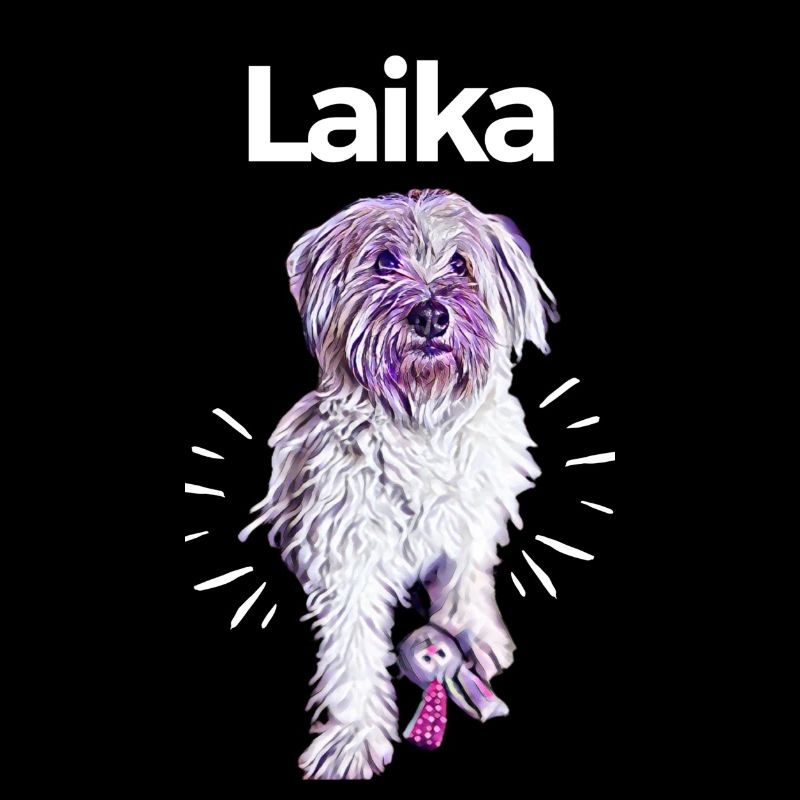 Schäfer der Perynea-Laika