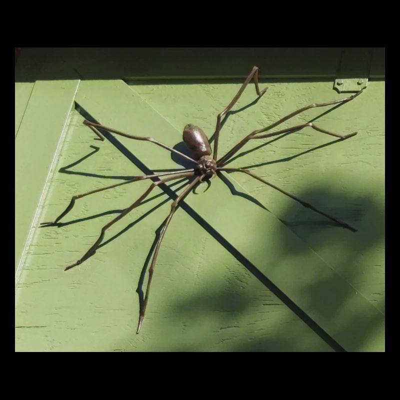Spider