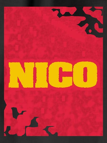 Style und Artwork Nico