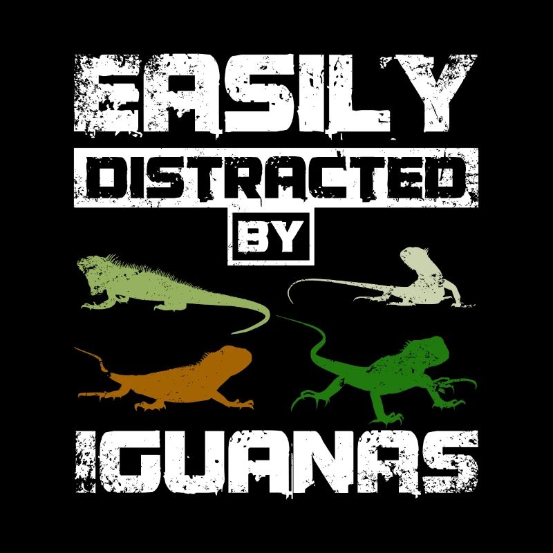 Easily distracted by Iguanas