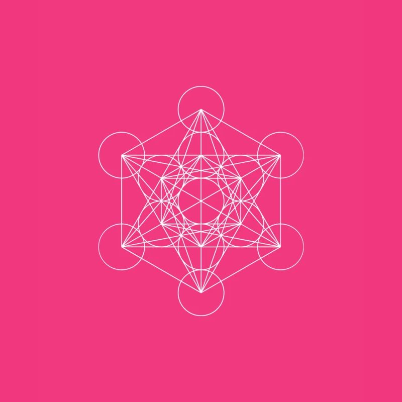 Metatron's Cube