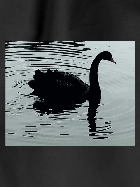 Black Swan