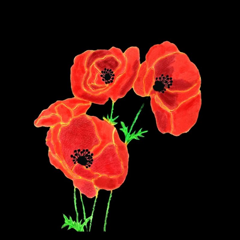 Coquelicots