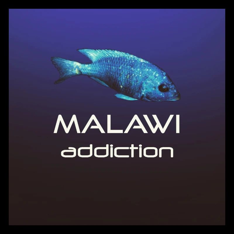 Malawi addiction