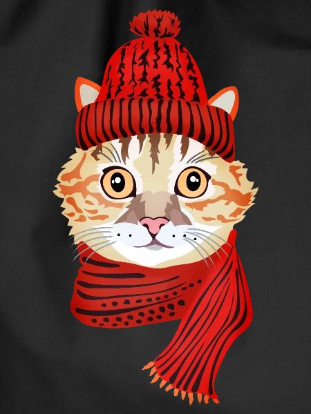 winter cat