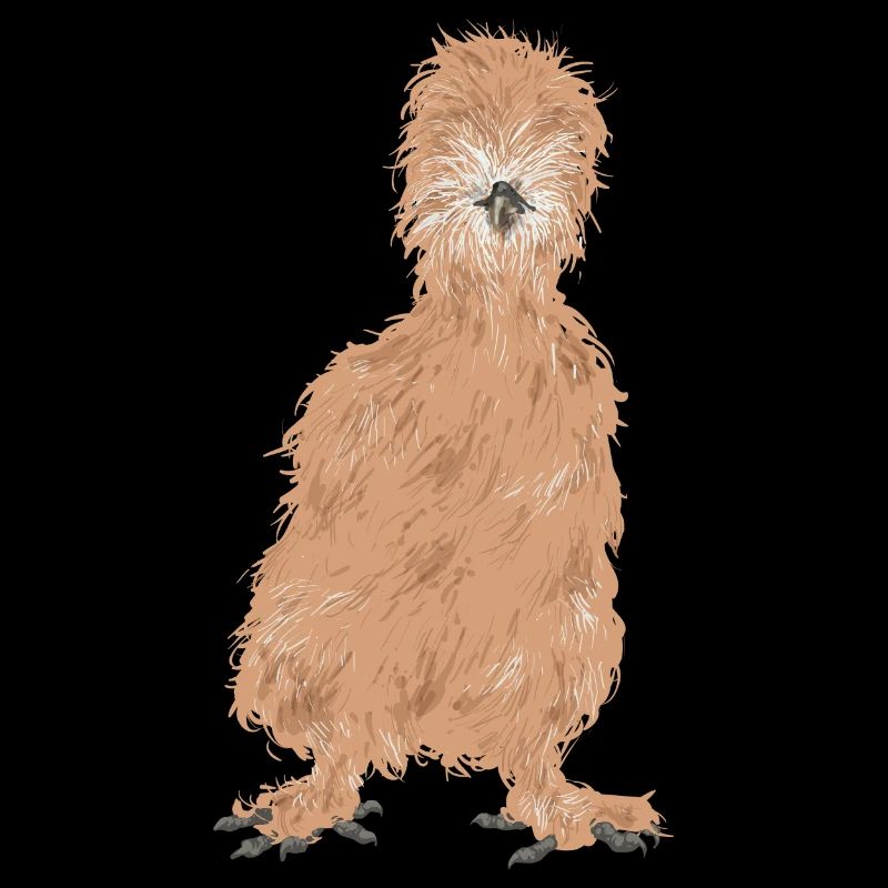 Seidenhuhn Silkie Chicken