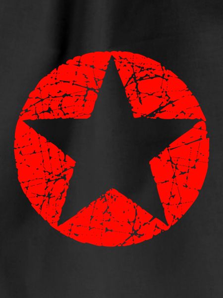 Circle star shape icon