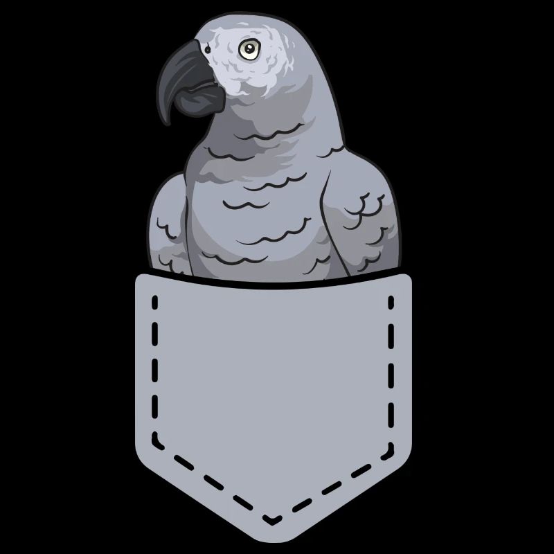 Graupapagei African Grey Parrot Papagei