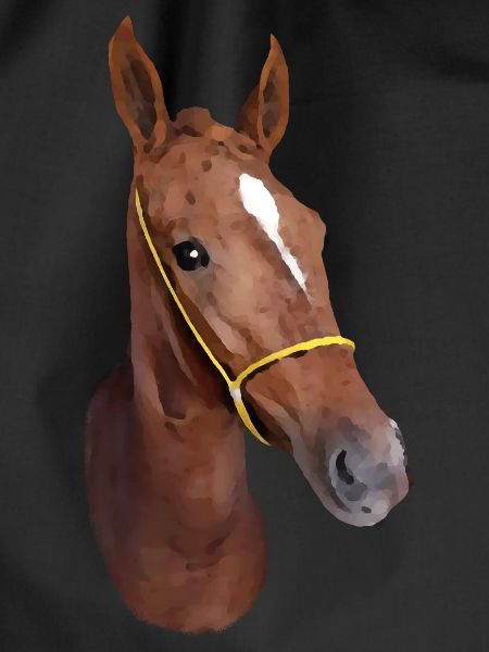 Stylized Horse Head